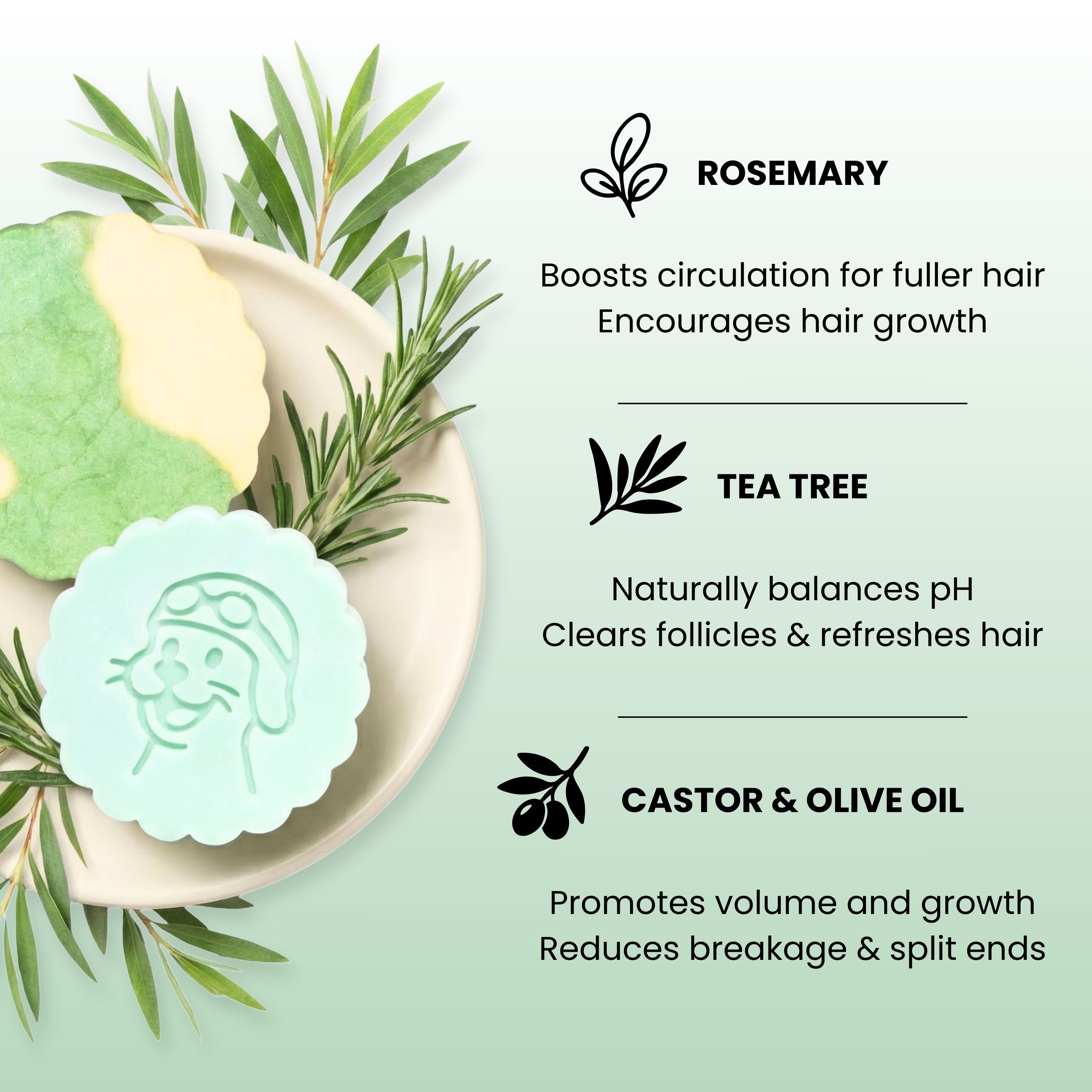 Tea Tree & Rosemary Volumizing Shampoo and Conditioner Bar