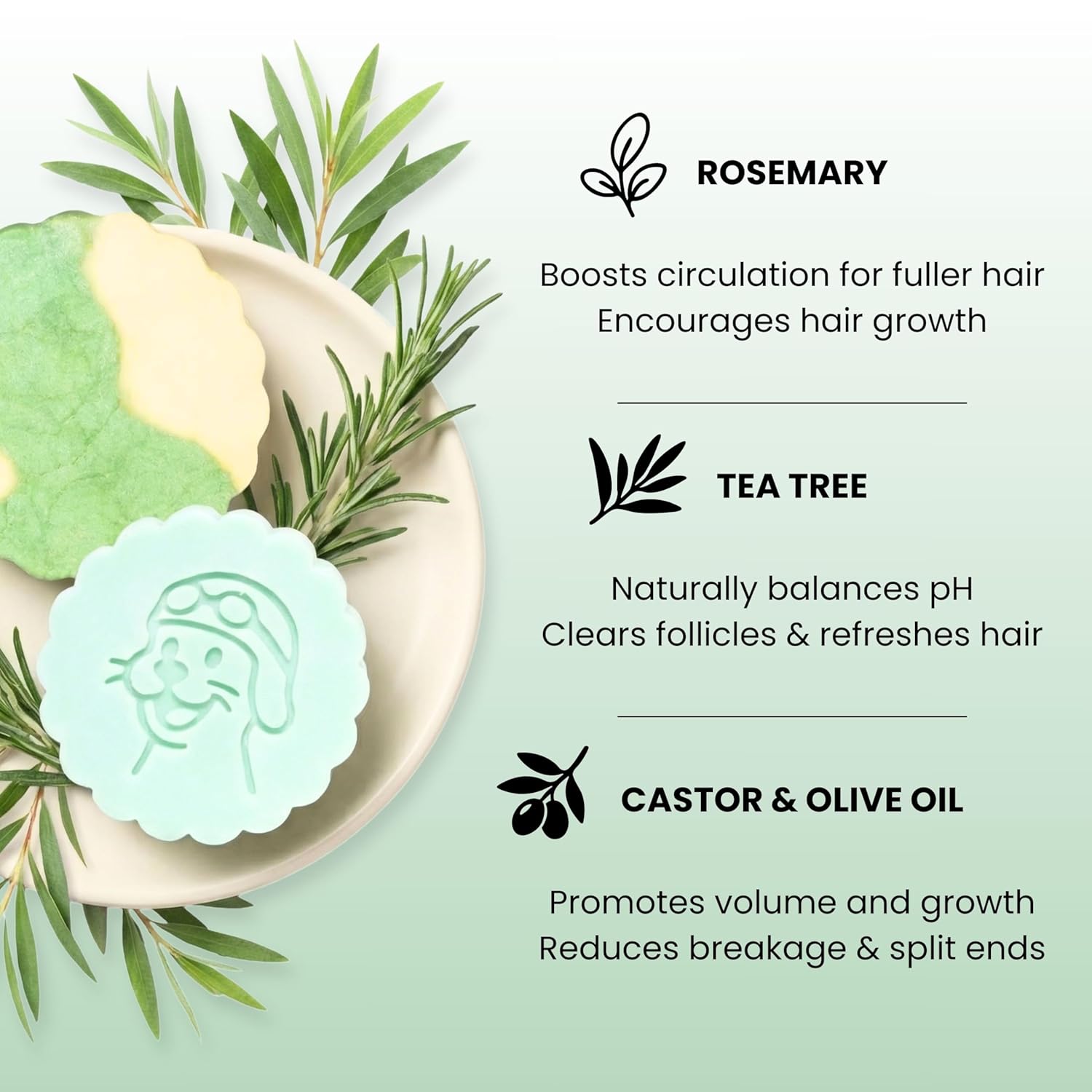 Volumizing Shampoo + Conditioner